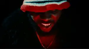ODUMODUBLVCK Ft. Fireboy DML – FIREGUN (Video)