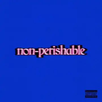 tobi lou - Non-Perishable (Album)