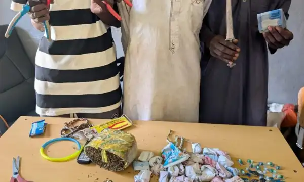 Son conspires to rob mother in Adamawa midnight attack