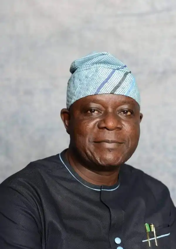 Lagos: Ayinde Akinsanya declared winner of Igando-Ikotun LG election