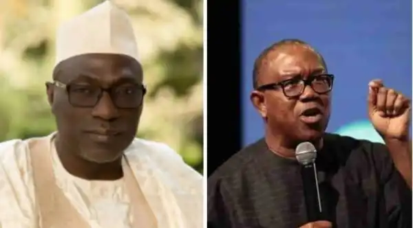 2023: Why Peter Obi Is Gaining Prominence Nationwide – Makarfi