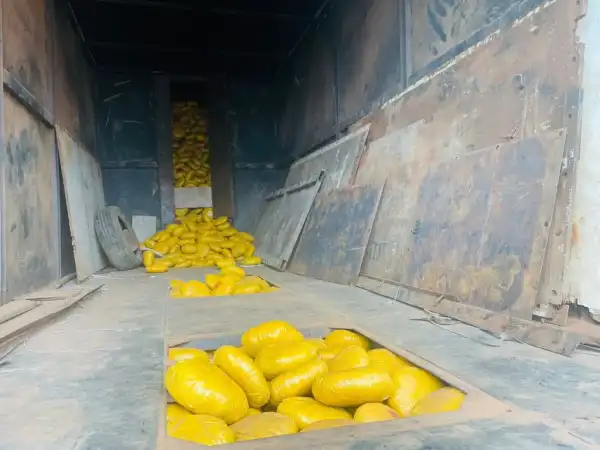 Ogun Customs seizes 2,593 parcels of Indian hemp concealed under truck