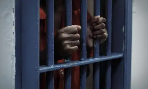 Nigerian campaign worker arrested by ICE after guilty plea in US