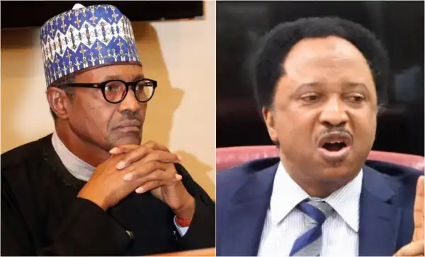 Buhari Increasing Electricity Fuel Price, Tariff, Diverting Attention With Open Grazing – Shehu Sani