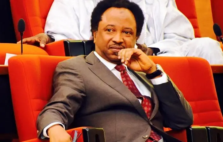 Buhari’s people are not making things easier for his successor and Nigerians- Senator Shehu Sani