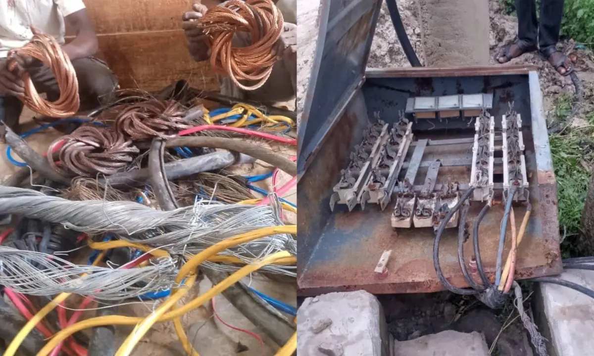 Two men land in police net for vandalizing electricity transformer, cables in Yobe