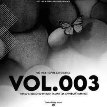 Djay Tazino – The True Toppie Expereince Vol.003 Mix