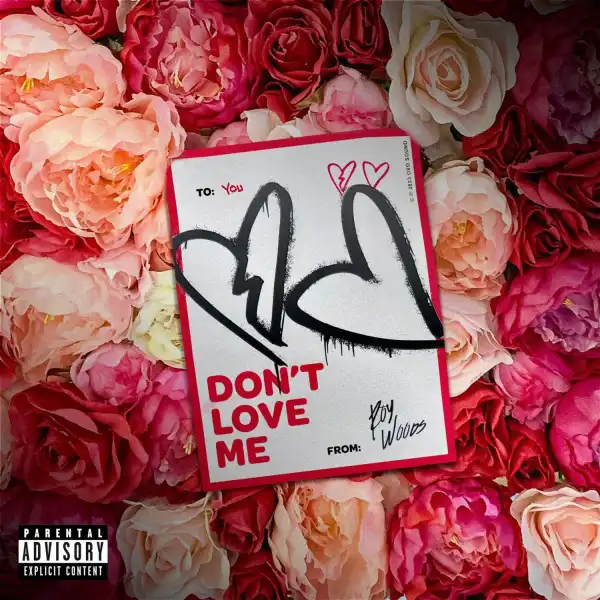 Roy Woods – Don’t Love Me (Instrumental)