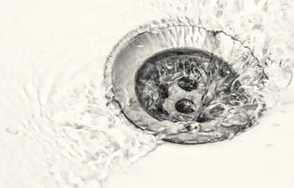 WhaleFarm Token Crashes 99% in a $2.3 Million Rug Pull