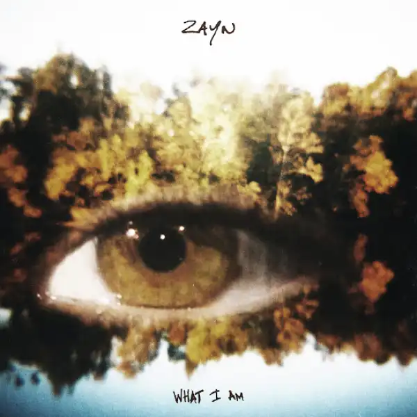 ZAYN – What I Am