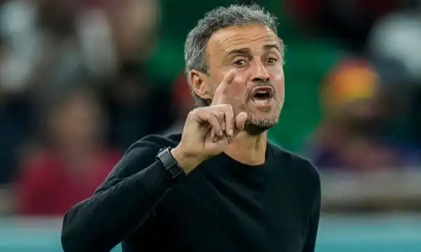 Transfer: Why PSG sold Barcola to Liverpool – Luis Enrique