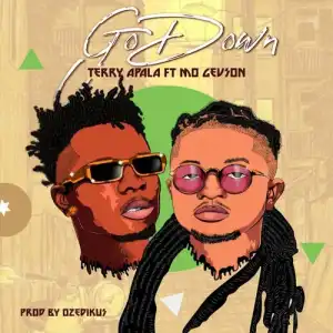 Terry Apala – Go Down ft. Mo Gevson