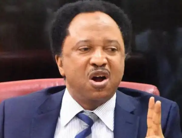 Shehu Sani Sends Strong Warning To Nigerians Ahead Of 2023 Elections