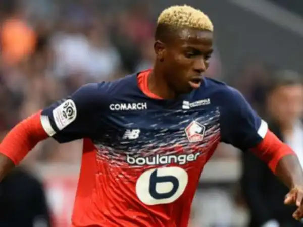 Osimhen has raised the bar for Nigerian footballers, says Elahor