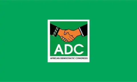 Shettima is right, Tinubu has no power to remove Fubara – ADC replies Presidency