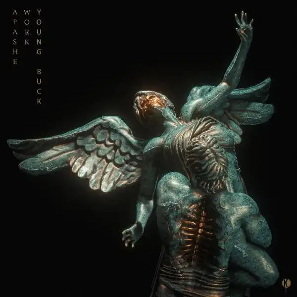 Apashe ft. Young Buck - Work