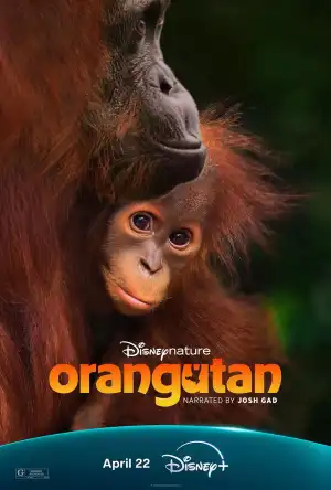 Orangutan (2026)