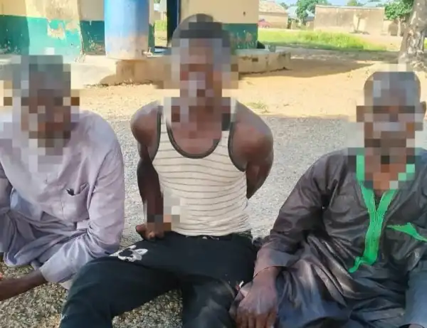 Man allegedly hired to kill 3 elderly women over witchcraft claims in Niger