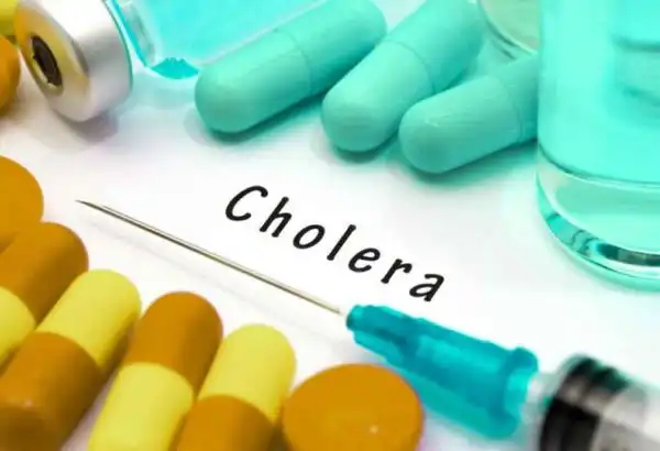 SHOCKING!!! Over 900,000 Infected With Cholera Across Nigeria – Experts Insist