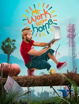 Mr. Work from Home (2026) [Telugu]