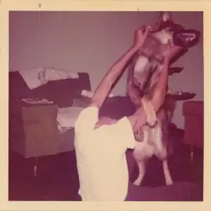 Elucid - I Told Bessie (Album)