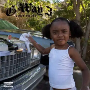 Joey Fatts – The Way It Go