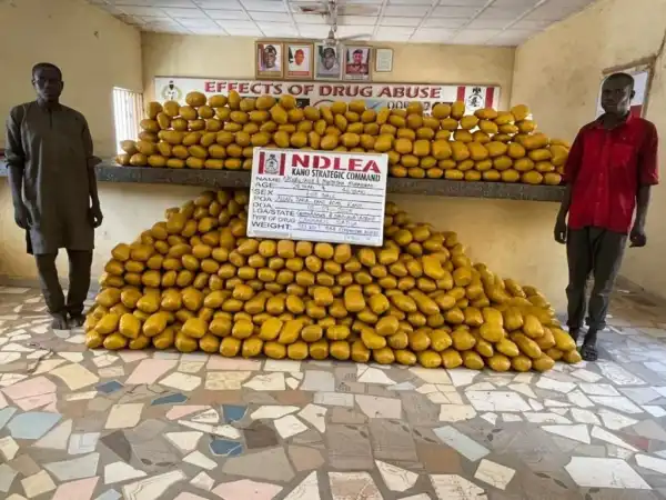 NDLEA intercepts Saudi, UK-bound cocaine in lipsticks