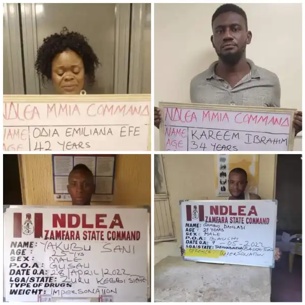 NDLEA Intercepts Italy, Dubai-Bound Drugs At Lagos Airport, Busts Syndicate Behind Fake Employments Into Security Agencies