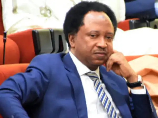 Governors are reporting the killings like journalists and lamenting like CSOs - Senator Shehu Sani