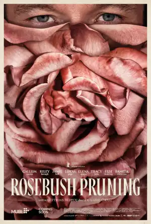 Rosebush Pruning (2026)