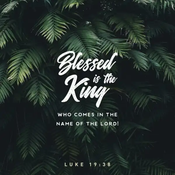 Kaestrings – Blessed Is He Who Comes In The Name Of The Lord
