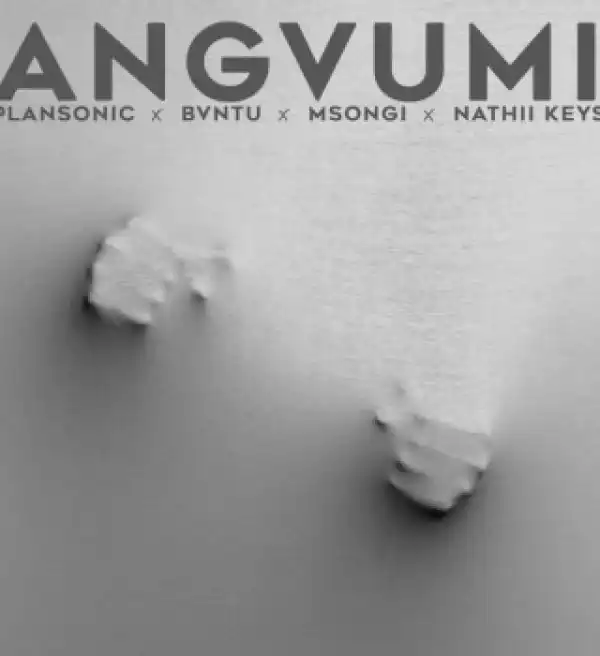 Plansonic – Angvumi Ft. Bvntu, Msongi & Nathii Keys