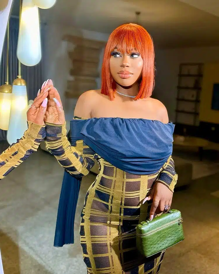 Check out full affidavit of Sophia Momodu opposing Davido’s joint custody