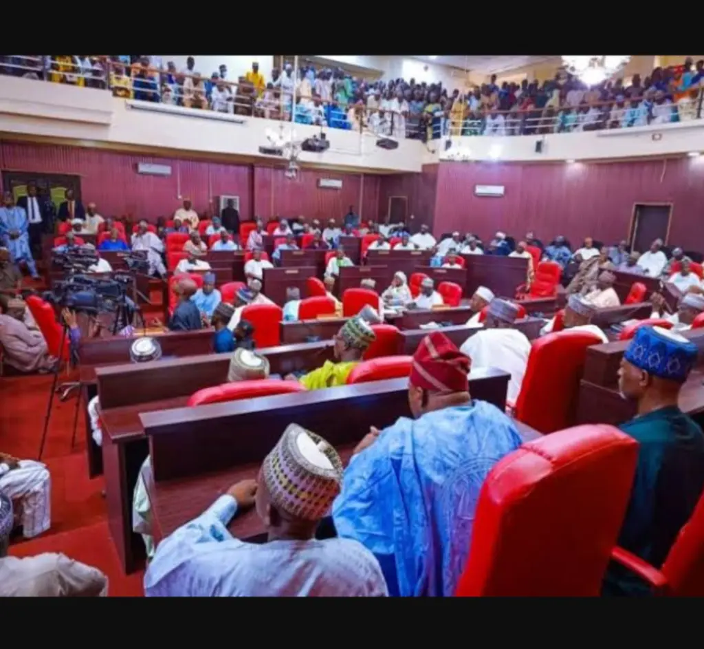 Kebbi Assembly to summon Dandi LG chairman over failed oversight visit