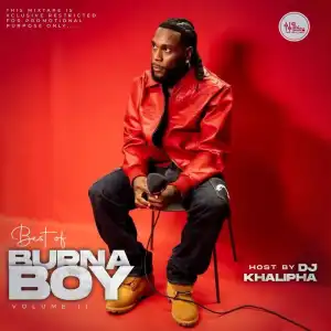 DJ Khalipha – I Told Dem (Best of Burna Boy Mix) Vol II