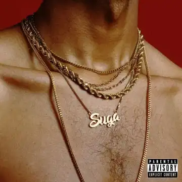 Kyle Dion Ft. DUCKWRTH & UMI - Play Too Much
