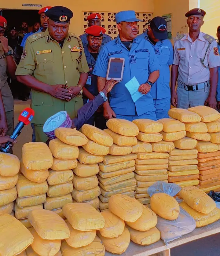 Nigerian Customs intercepts drugs worth over N24m at Kebbi borders