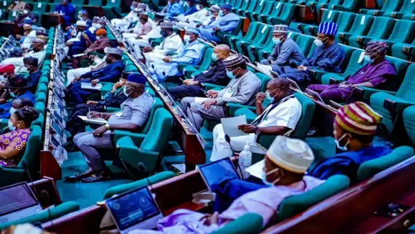 PDP Rep’s Bill to criminalise protests scales through first reading