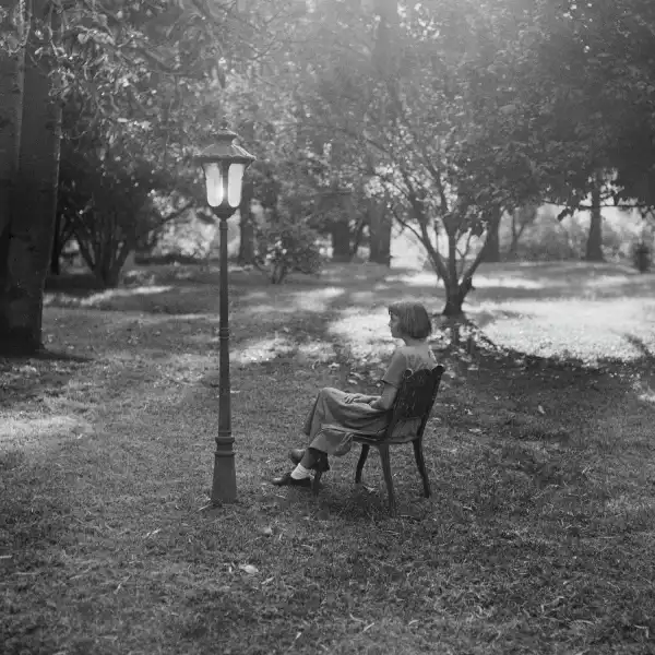 Amber Rose – Limelight