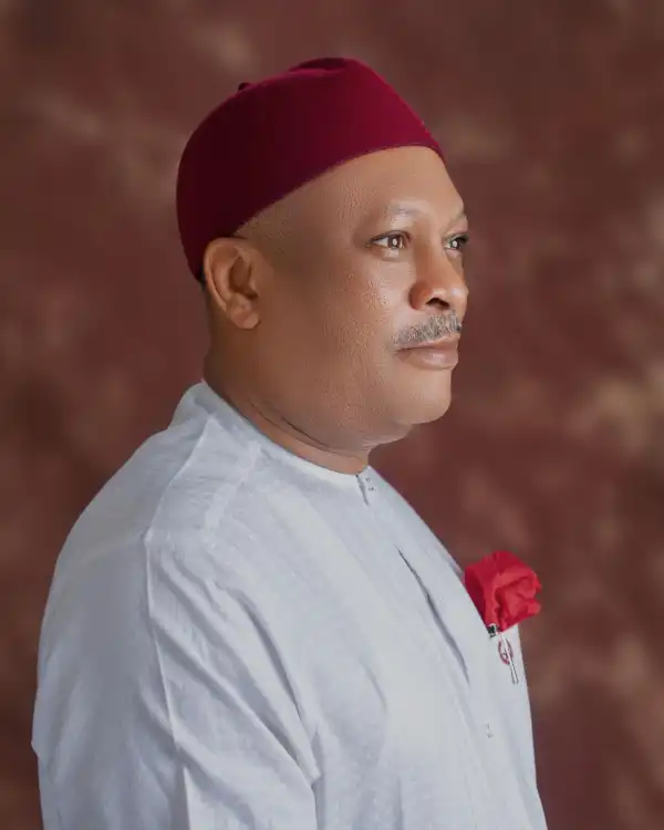 Anyanwu reacts to rumour of leaving PDP, insists report false, baseless