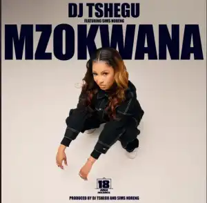 DJ Tshegu – Mzokwana (feat. Sims Noreng)