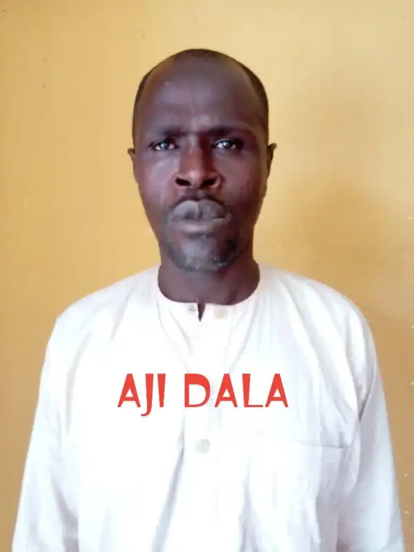 Troops Arrest ISWAP Informant Over Alleged Terror Plot in Borno (Photo)