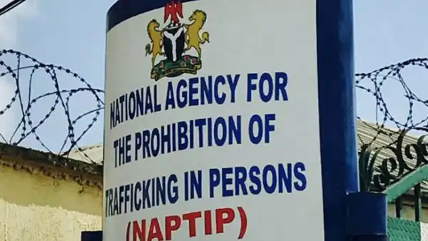 How NAPTIP Nabbed 64 Traffickers, Rescues 100 Victims In Edo And Delta