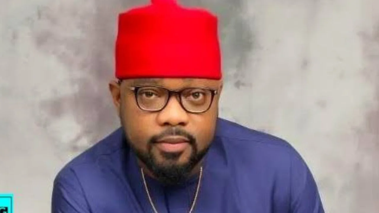 Two more PDP Govs, 40 lawmakers will soon defect – Ugochinyere warns party leaders