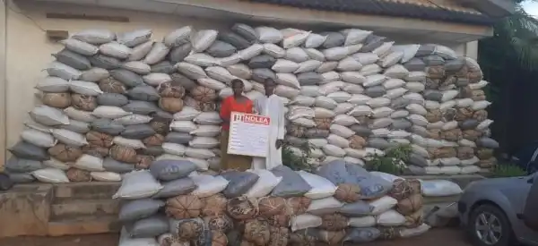 Couple Arrested With 273 Bags Of Cannabis In Ogun