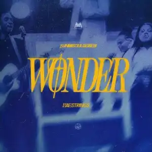 Sunmisola Agbebi – Wonder Ft. Kaestrings