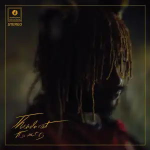 Thundercat - Dragonball Durag