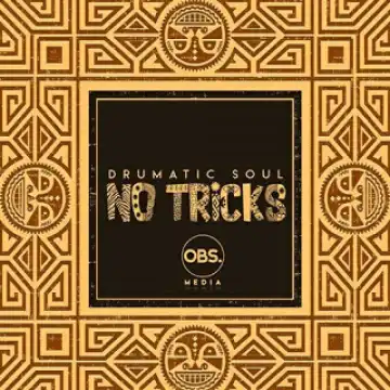 Drumatic Soul & Tee R – Impimpi Ft. Tee R