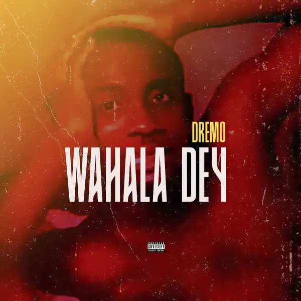 Dremo – Wahala Dey