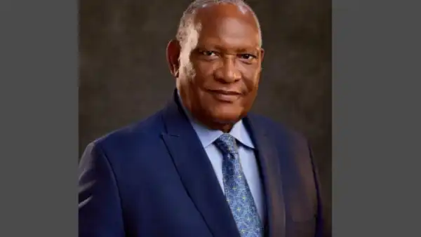 NMDPRA boss, Mohammed sacked by Tinubu while on official duty in Germany